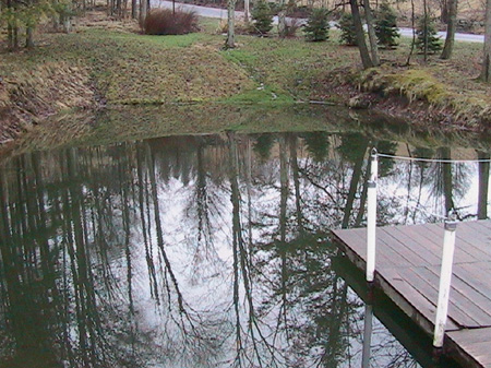 pond_fromDeck