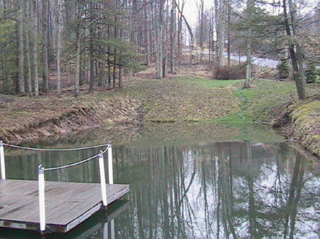 pond_fromDeck2