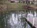 pond_fromDeck