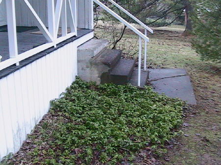 porch_backSteps